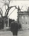 Chancellors elm.1980.jpg