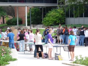 College of Pharmacy and Health Science Activities Fair - Photo by Jenny Tran