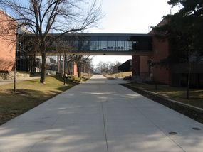 Skywalk looking south March 2011. Photo by Susan Fink, AS'92, GR'95 & '98